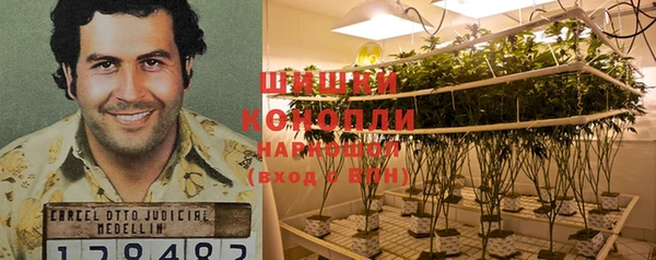 Альфа ПВП Ладушкин